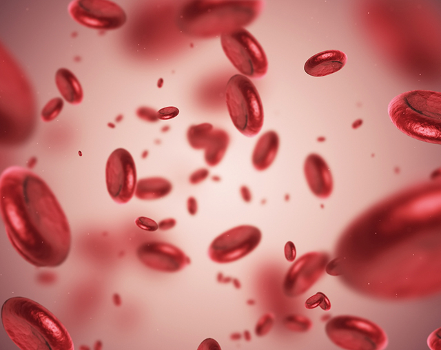 Glóbulos vermelhos no fluxo sanguíneo, com foco em hemoglobina, plasma e sistema vascular humano, em contexto de hematologia e saúde circulatória.