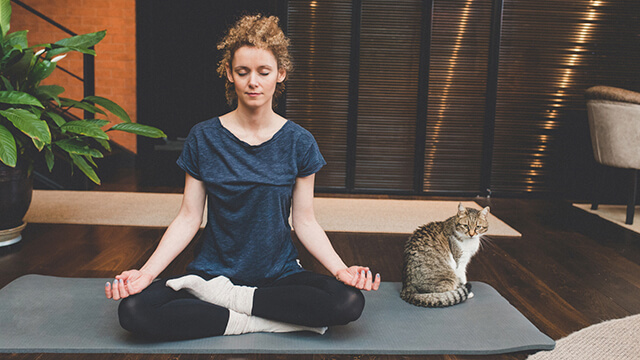 Mulher a meditar com um gato ao lado, num ambiente tranquilo. Ilustra um momento de calma e atenção plena, o necessário para o mindfulness.